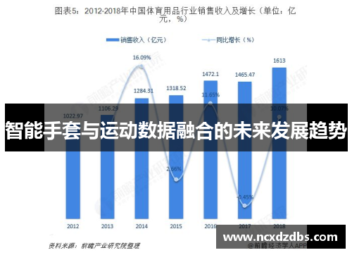 智能手套与运动数据融合的未来发展趋势