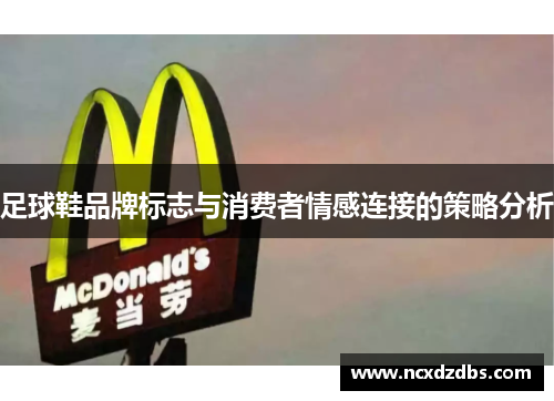 足球鞋品牌标志与消费者情感连接的策略分析